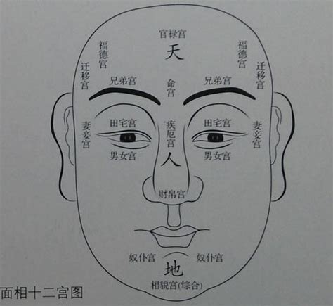 面相氣色|相法高級篇：面相十二宮「氣色」觀相秘技（附面部氣。